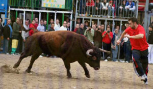 (Foto: Fernando Juárez)