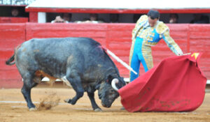 Ponce malogró con la espada una notable faena a su primero. (Foto: Tadeo Alcina)