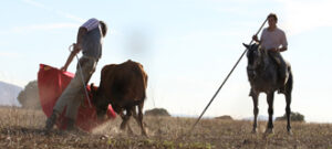 Perera, en la finca de Daniel Ruiz. (Foto: Miguel López)