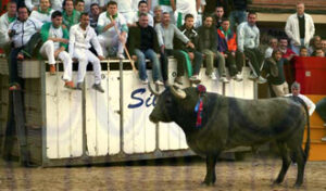 (Foto: Fernando Juárez)