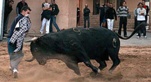 (Foto: Fernando Juárez)