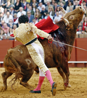 Matías Tejela: “Aún me queda mucho por decir”