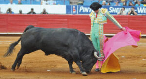 (Foto: Tadeo Alcina)