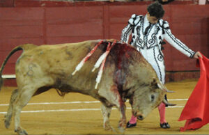 (Foto: Olga HolguÃ­n)