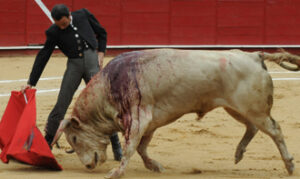 (Foto: Olga Holguín)