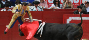 Momento de la cogida. (Foto: Olga Holguín)