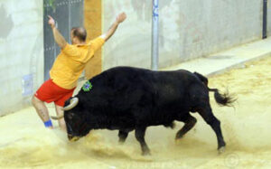 (Foto: Torodigital)