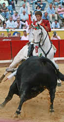 Joao Ribeiro Telles: “Paso a paso voy por el buen camino”