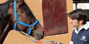 (Foto: Emilio Méndez)