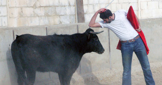 Serafín despidió el año toreando