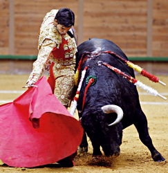 Sergio Blanco: “Ha sido un año duro pero bonito”