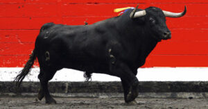 “Habilitado”, de El Tajo. (Foto: Arjona)