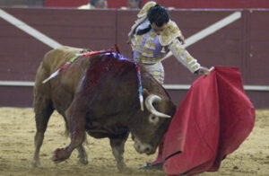 Iván Fandiño, con el quinto de la tarde. (Foto: Javier Arroyo)