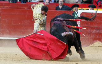 Tomás Sánchez: "Torear en las Fallas es algo grandioso"