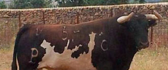 Aprobada la de Alcurrucén