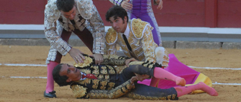 Oreja a la torería de Leandro