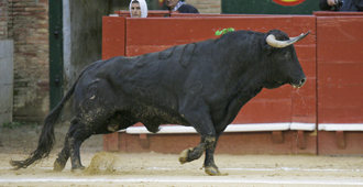 Brava, interesante y completa corrida de Fuente Ymbro