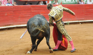 (Foto: Tadeo Alcina)