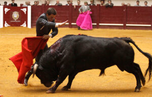 (Foto: Carlos Pereletegui)