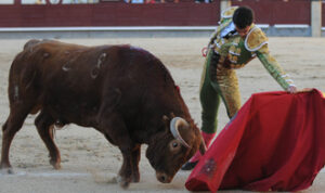 (Foto: Julián López)