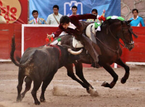 (Foto: Felipe Pescador)