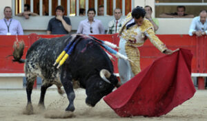 Fandiño gustó a los franceses. (Foto: I.Dupin)