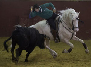 (Foto: Carlos Núñez/Toromedia)