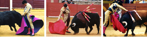 Joselito: "Lo esperaba desde hace años"