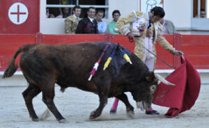 (Foto: Isabelle Dupin)