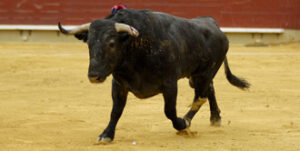 (Foto: Javier Arroyo)