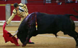 (Foto: Maite Fernández)