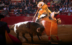 Gargantillo, de Felipe Bartolomé, protagonizó un gran tercio de varas. (Foto: Maite Fernández)
