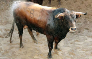 Confitero, número 87, segundo de El Juli (Foto: Fuente: www.plazadetorosdelamaestranza.com )