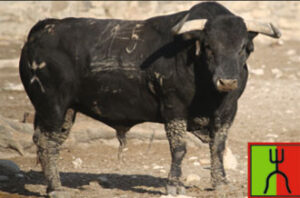 Ejemplar de Cebada Gago