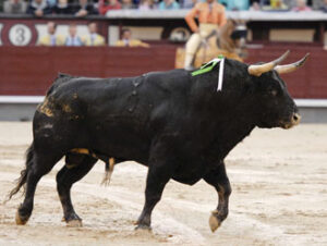 La corrida de El Montecillo no ha roto moldes ni por arriba ni por abajo. (Foto: Javier Arroyo)