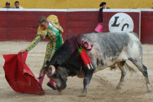 (Foto: Jessika Kuhn)