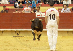Su majestad, César Palacios, de frente y de verdad. (Foto: Torodigital)