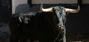 (Foto: las-ventas.com)