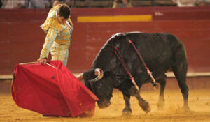 Sergio, en su última actuación en Valencia.