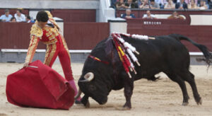 (Foto: Javier Arroyo)