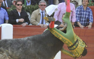 Momento de la cogida. (Foto: José Salvador)