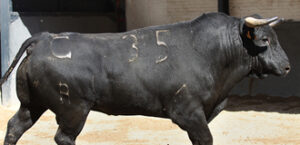 (Foto: Juan Pelegrín / las-ventas.com)