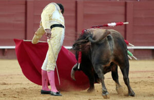 Rafael Cerró toreó con brillantez al natural (Foto: Arjona)