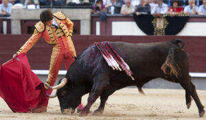 (Foto: Javier Arroyo)