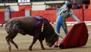 (Foto: Maite Fernández)