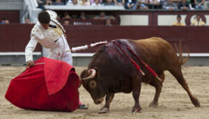 (Foto: Javier Arroyo)