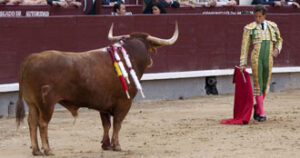 (Foto: Javier Arroyo)