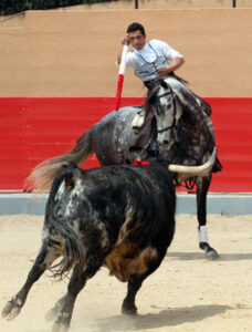 Sergio Vegas, entrenando en su finca ante un toro en puntas.