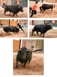 (Foto: Fernando Juárez)