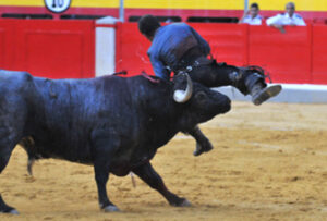 Momento de la cogida de Sergio Vegas. (Foto: Carmen Moya)